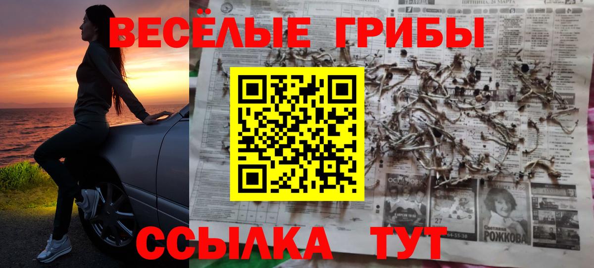 Галлюциногенные грибы мицелий  Вход с VPN  Куйбышев 